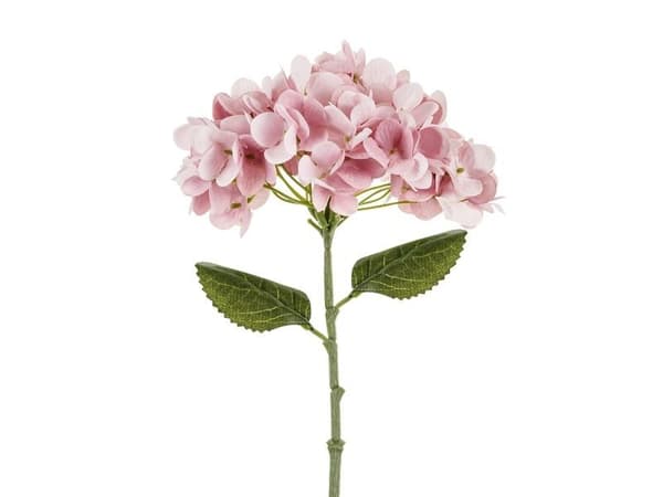 Vaaleanpunainen hortensia 35 cm