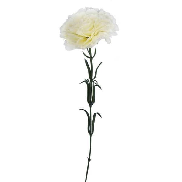 Enkel hvid nejlike 54 cm