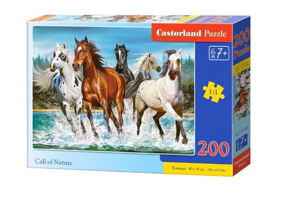 Puzzle 200 Luonnon kutsu CASTOR