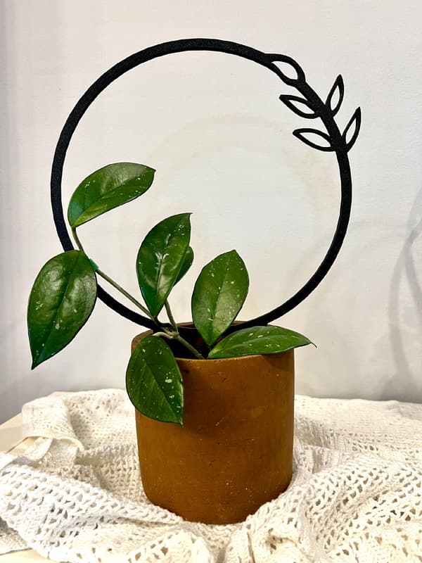 Stöd för klätterväxter Stöd för klätterblommor Pergolastege 34 cm