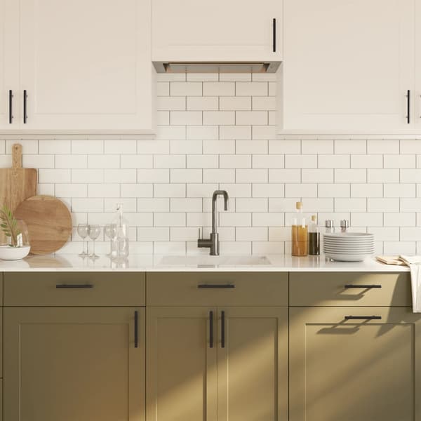 vidaXL skabsgreb 20 stk. sort 96 mm rustfrit stål