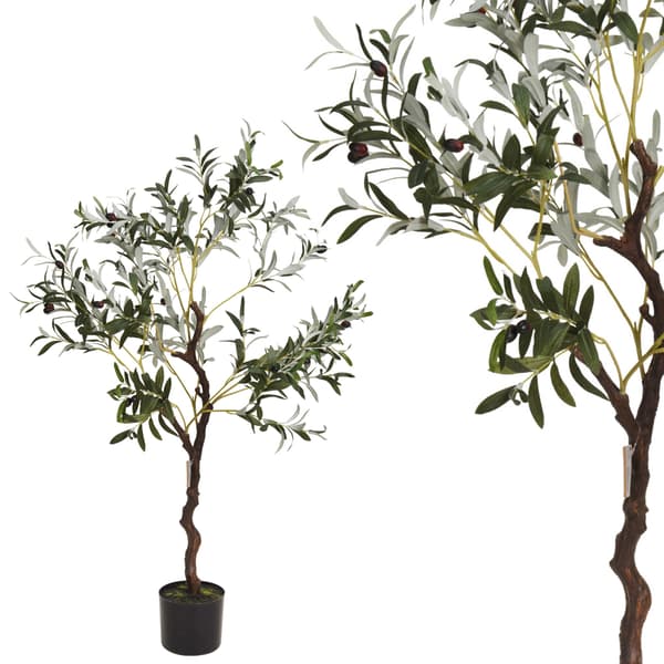 Oliventræ i stor potte, 120 cm