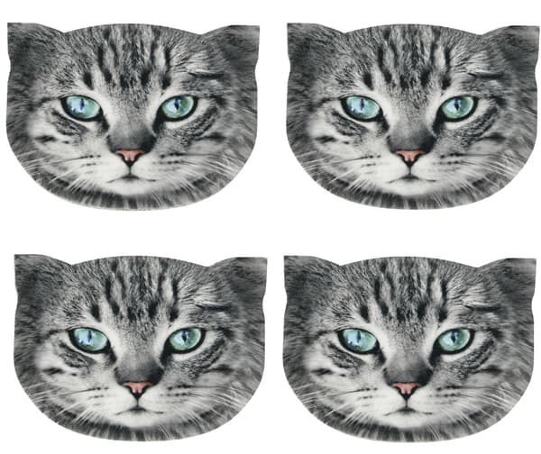 4D Katte Bordmåttesæt - FRYC