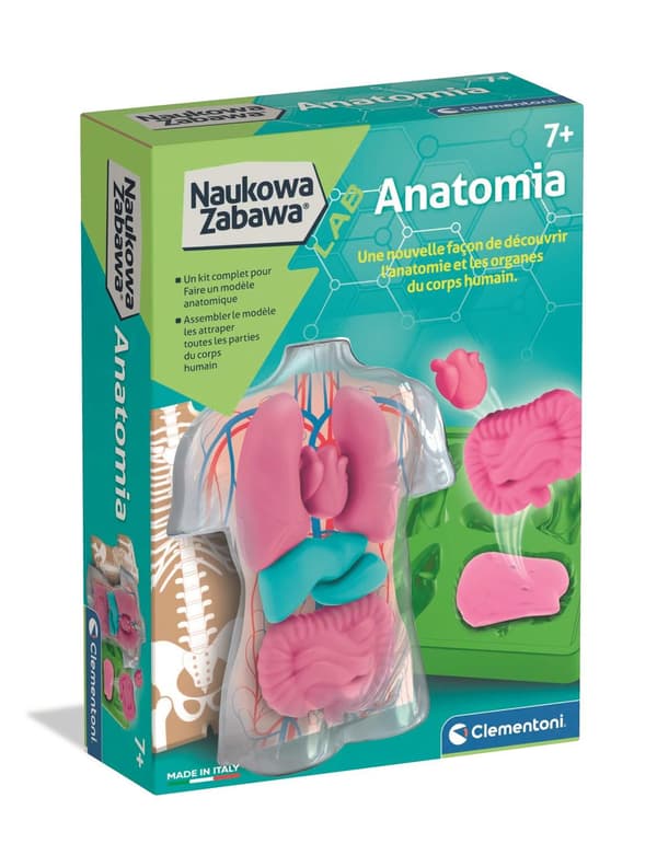 Tiedehauskaa. Anatomia 1