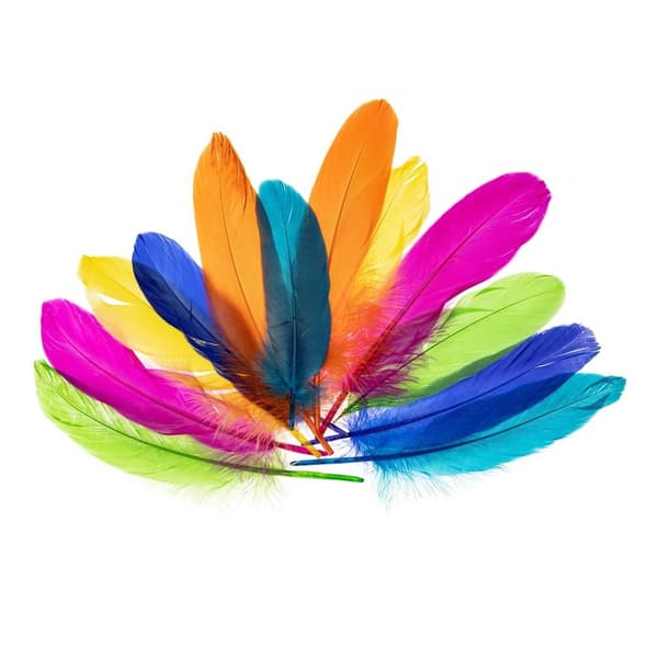 Nenowy gåsefjer 15-20 cm
