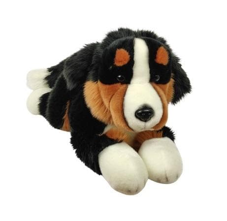 Berner sennenhund 30 cm