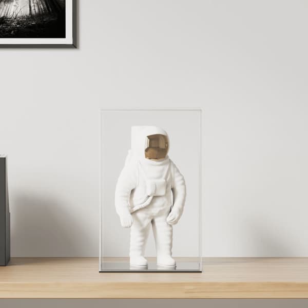 vidaXL Displaylåda, Transparent, 22x18x35 cm, Akryl