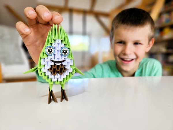 3D-origami. Avokado.