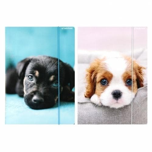 Mappe med elastik A4 Hundemix