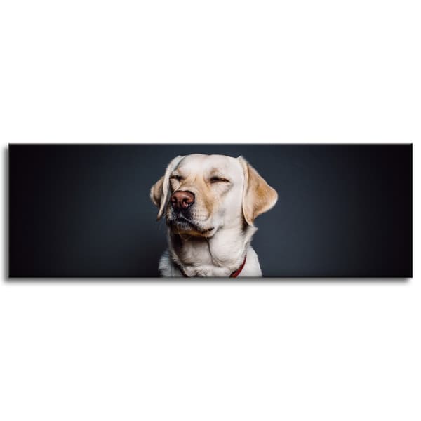 Lærredstryk Dyr Hund Sort baggrund 120X40