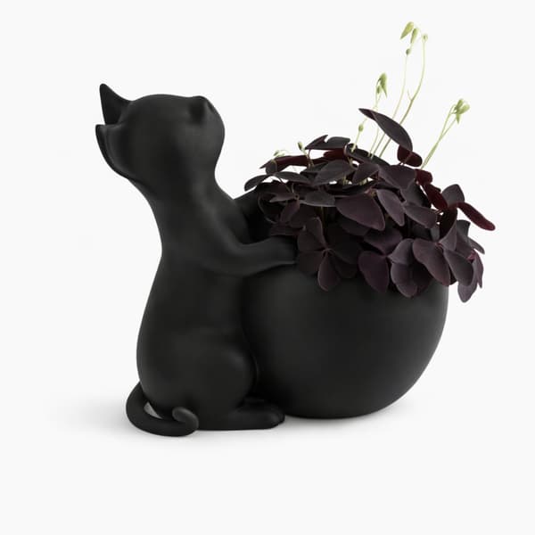 Urtepotte med kat, sort låg til dekorative planter