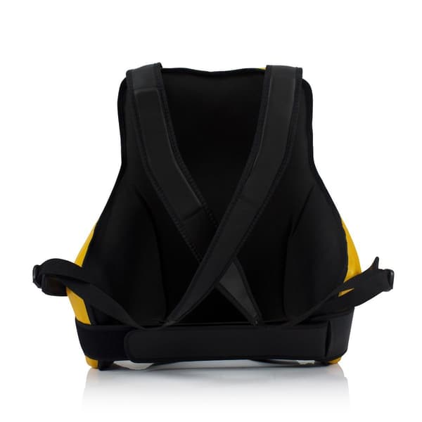 Fairtex TV2 Træningsbælte Sort/Guld