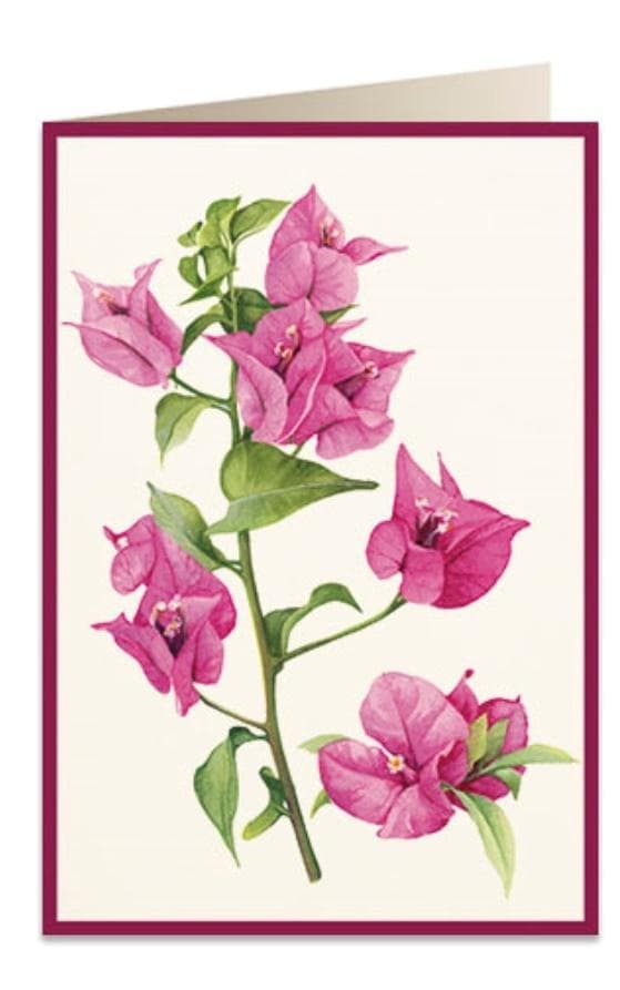 Kort B6 + kuvert 5934 Bugenvillea 2
