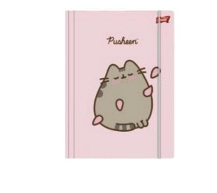 Pusheen pinkki A4 kuminauhakansio