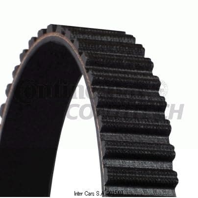 CONTITECH CT 986 kamrem