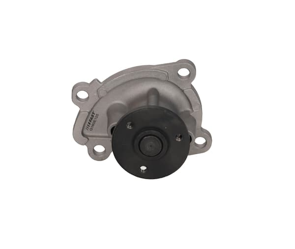 FT04484 HURTIG VANDPUMPE