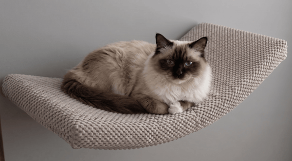 Arc metal kattehylde 60 cm beige
