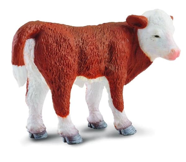 Seisova Hereford-vasikka