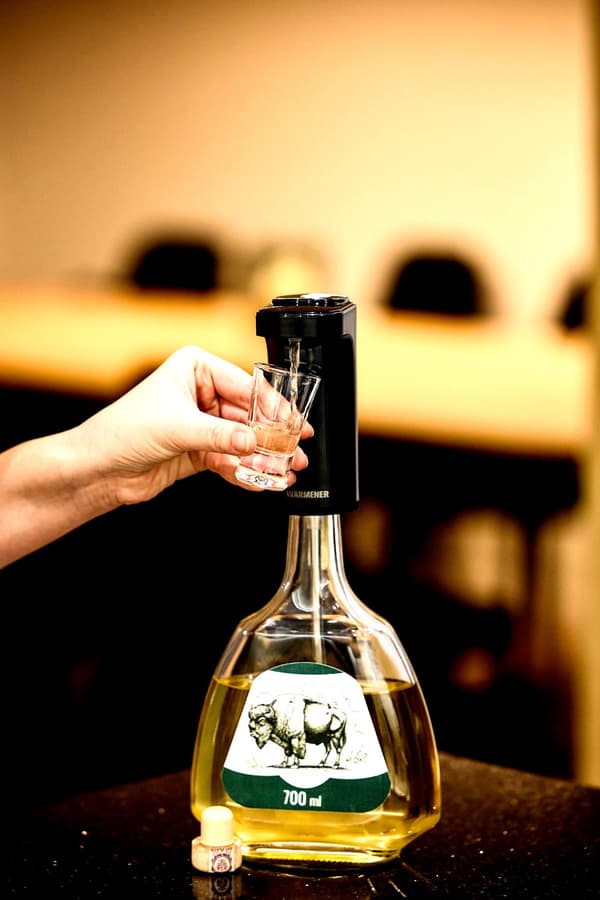Hældebeholder til vin, alkohol, vodka, whisky og perlator