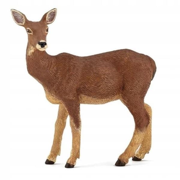 Hind