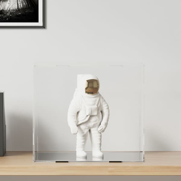 vidaXL Displaylåda, Transparent, 40x36x35 cm, Akryl