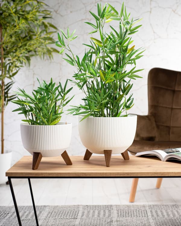 Rosa linea ECO recycling blomkruka vit