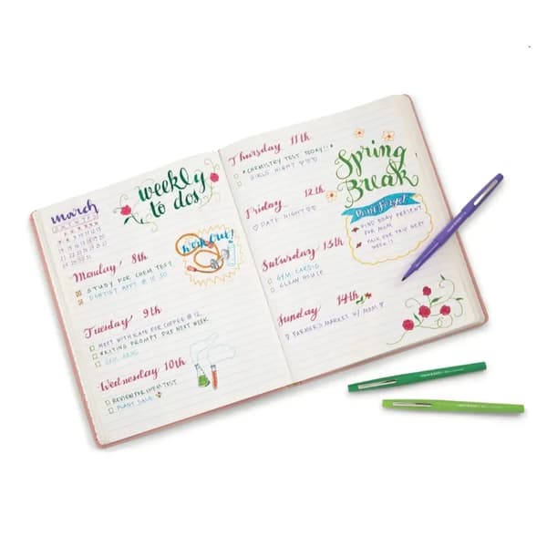 Paper Mate -tussit 12 kpl.