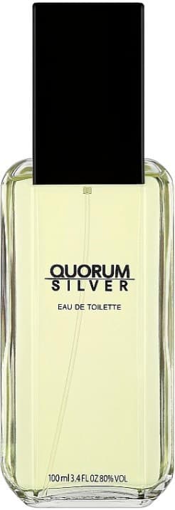 Antonio Puig Quorum Sølv Eau de Toilette til mænd 100 ml