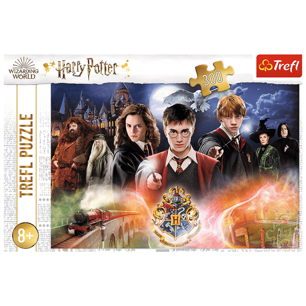 23001 "300" - Salaperäinen Harry Potter / Warner