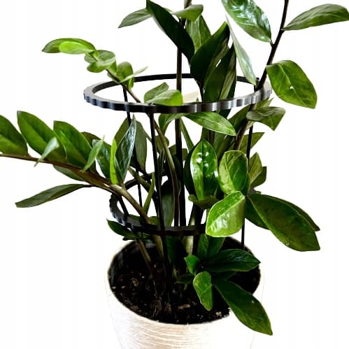 Støttering til blomsterplanter Klemme til støttering XL 60x28cm