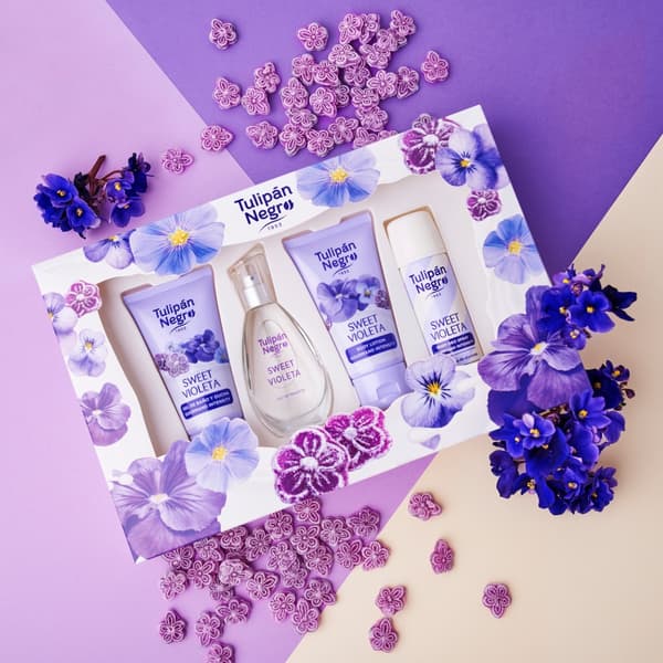 Söt Violeta tulpan Negro presentset