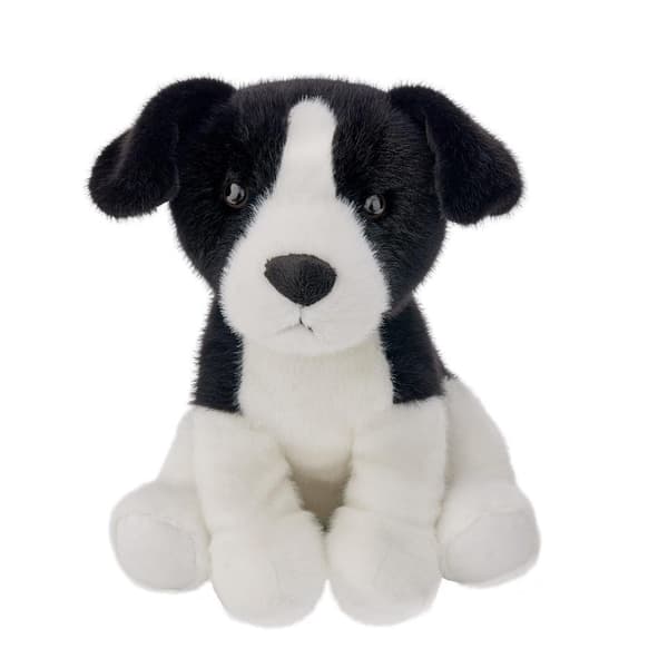 Bordercolie-koira 25 cm