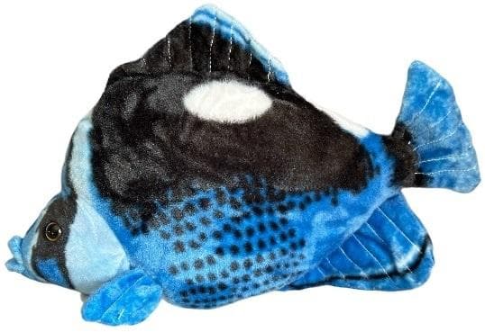 Sininen Hepatiittikala 41cm