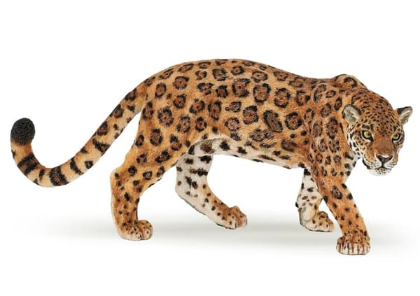 Jaguaari