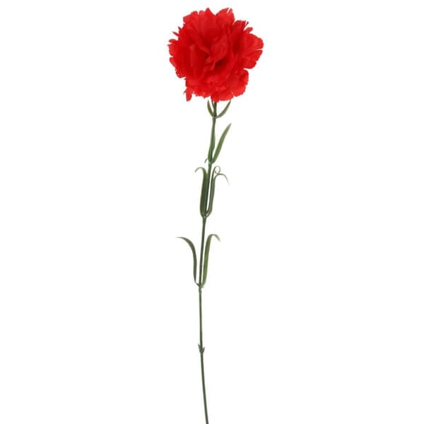 Enkelt rød nellike 54 cm