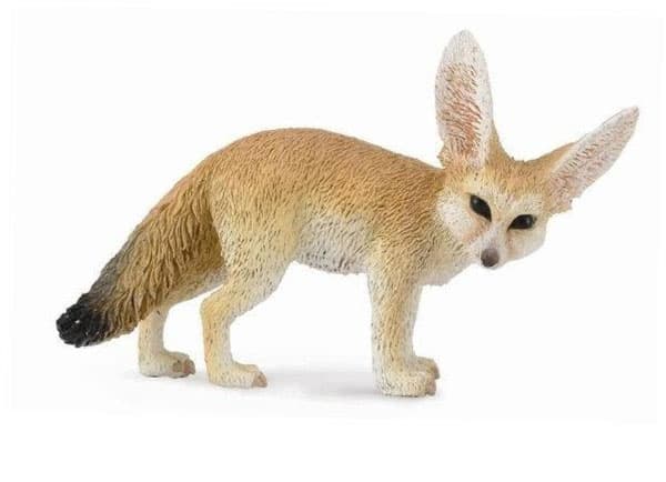 Samla. Fennec räv