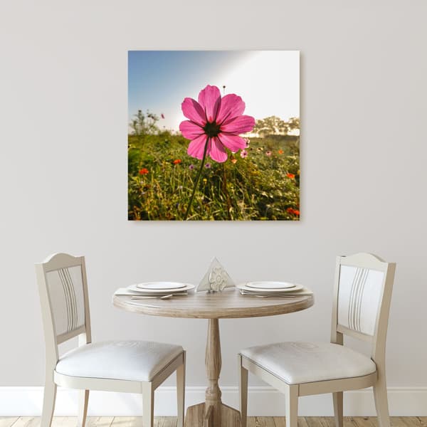 Canvastavla Botanik Rosa blomma 60x60 cm