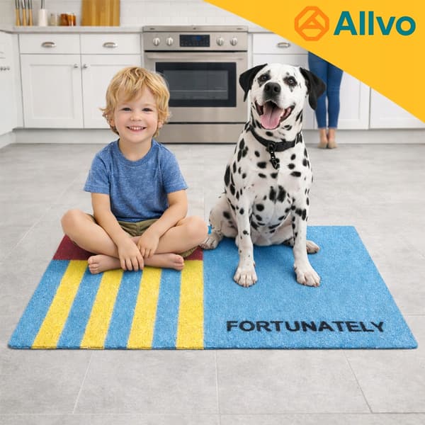 [pakke] Dørmåtte 40x60cm Moderne Vinyl Loop Måtte D28865