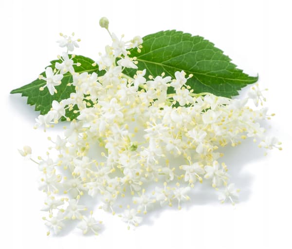 Superaromas Hyldeblomst Madsmag 30 ml
