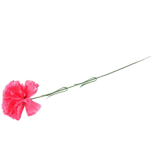 En mörkrosa nejlika, 46 cm