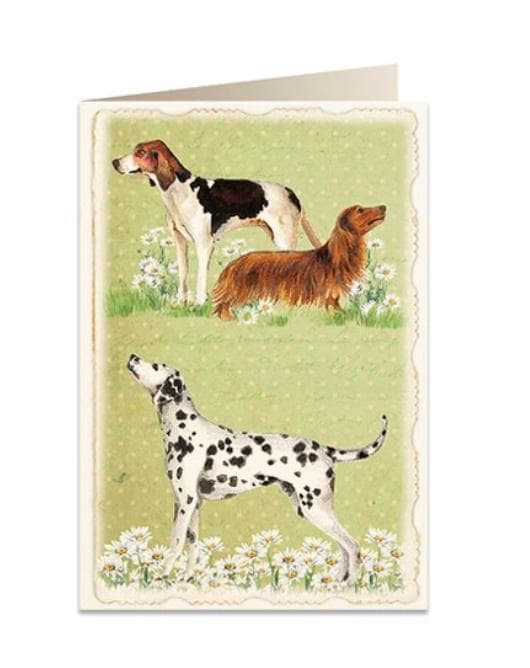 B6 kort + kuvert 5905 Hunde