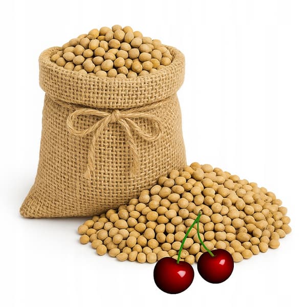 körsbärskärna - 10 kg