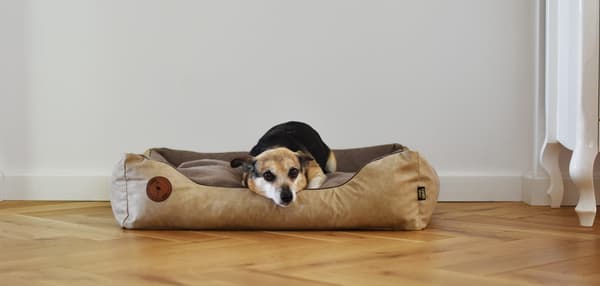 CEZAR sofa, sand, L - 95cm x 80 cm