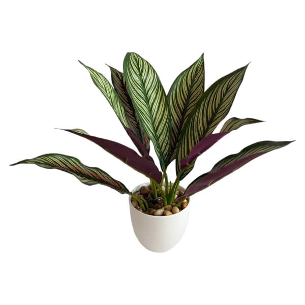 Kunstig potteblomst CALATHEA 33cm