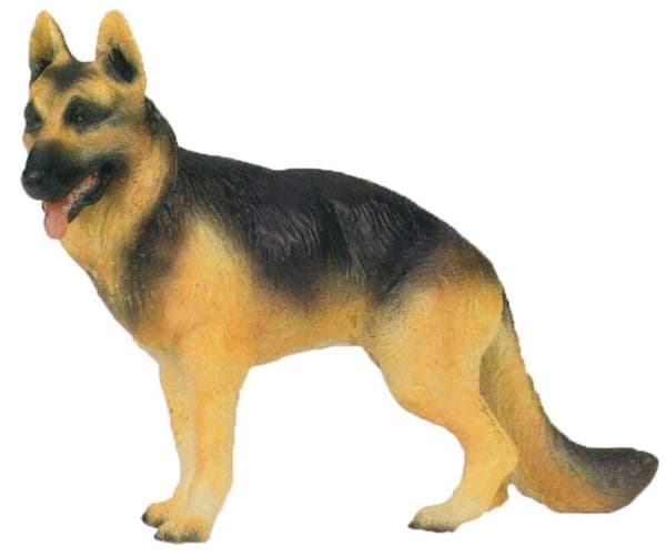 Schæferhund