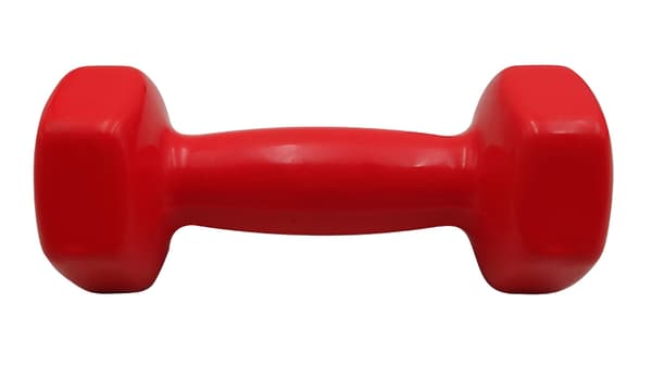 Belagd gjutjärnshantel 2 kg