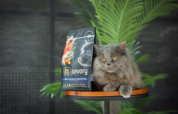 Savory Premium tørfoder til voksne katte, laks og hvid fisk, 400 g
