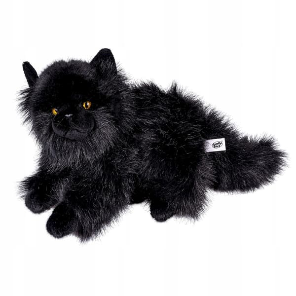 SVART KATT