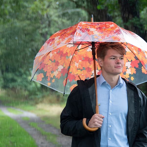 Gennemsigtig paraply med efterårsblade