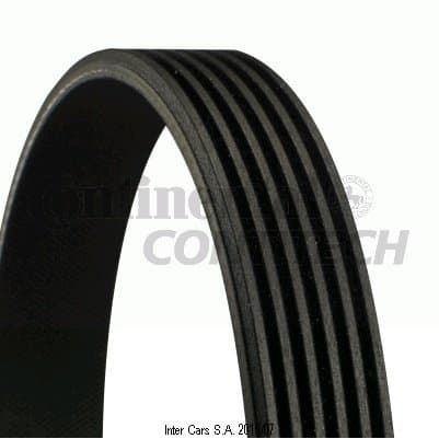 CONTITECH 6 PK 1520 multiribbet rem